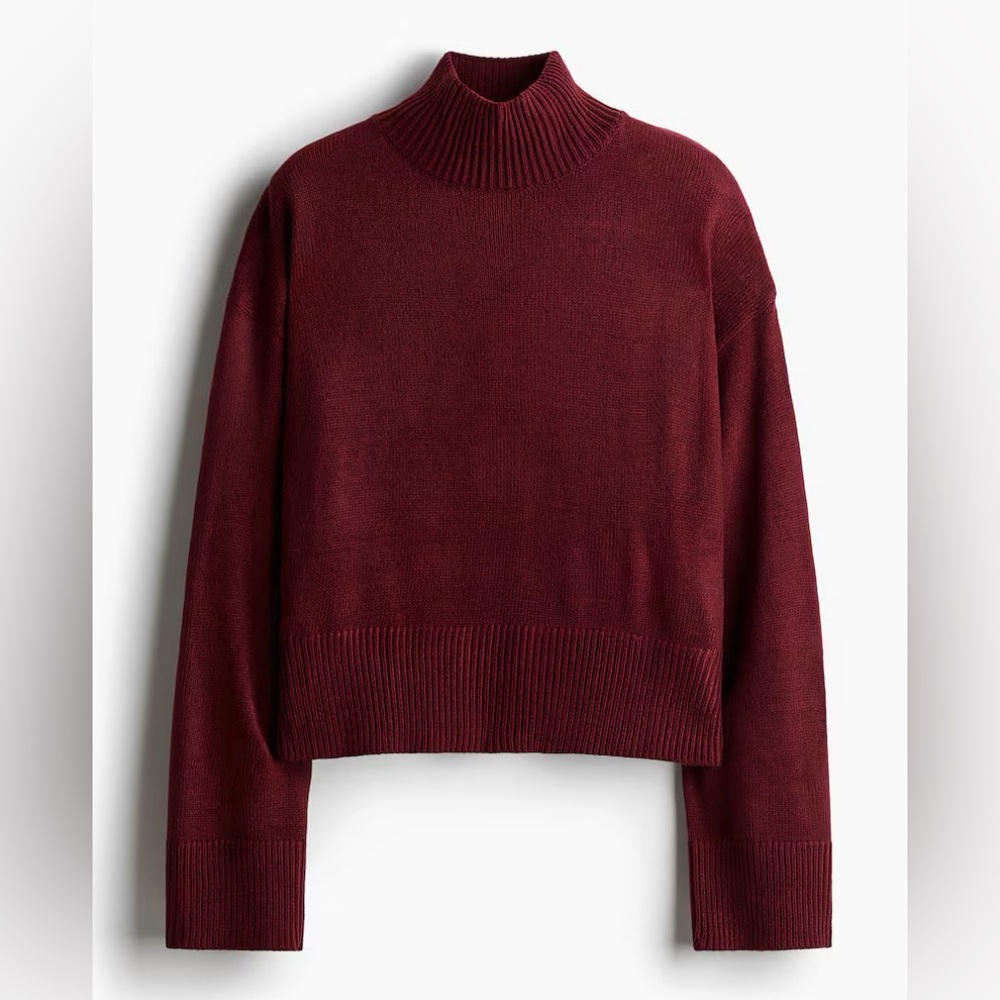 H&M Women's Fine- Knit Turtleneck Sweater in Burgundy